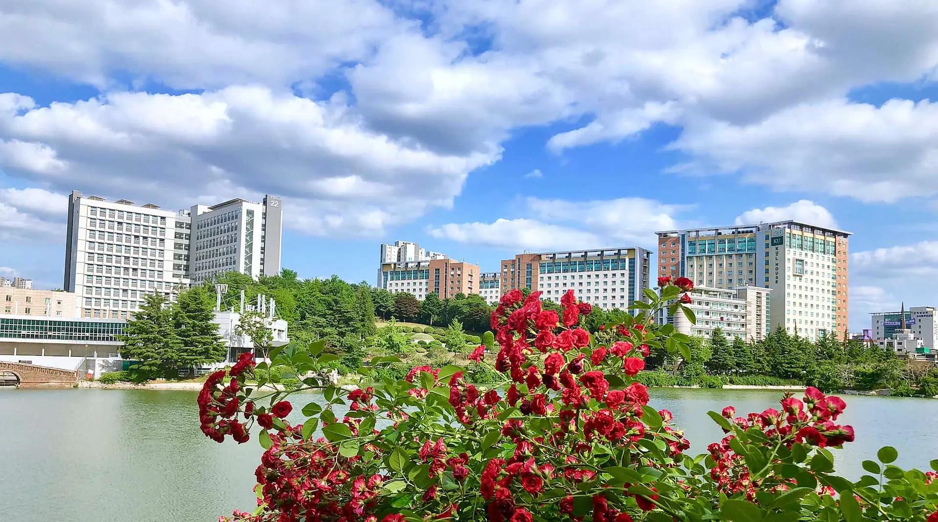 Step-by-step study abroad journey to Korea